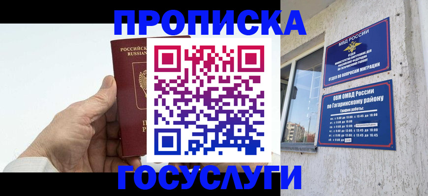 временная регистрация надежно в Заринске